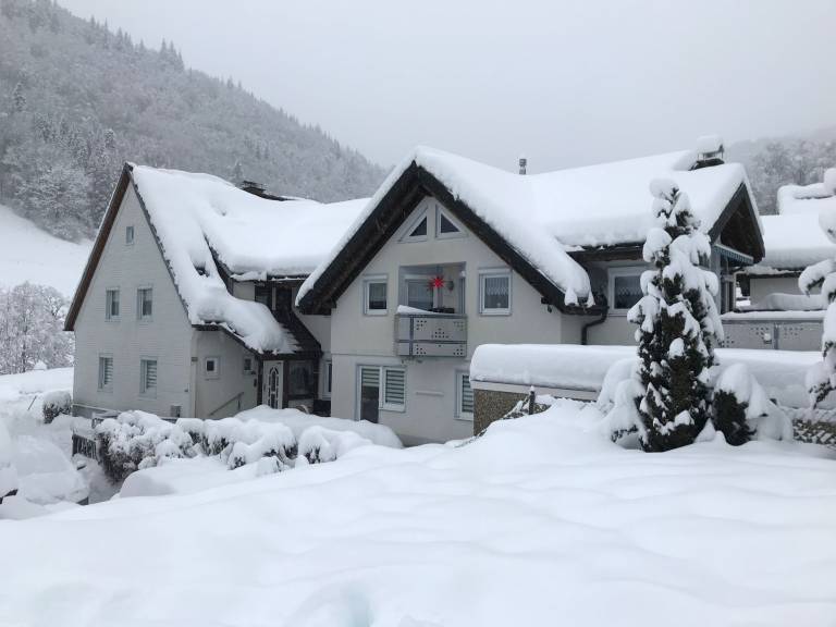 Apartment 'Ella' with Mountain View, Private Terrace and Wi-Fi in Todtnau