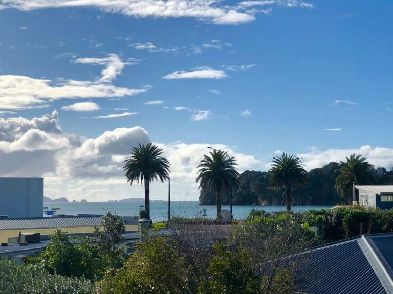 House Whitianga