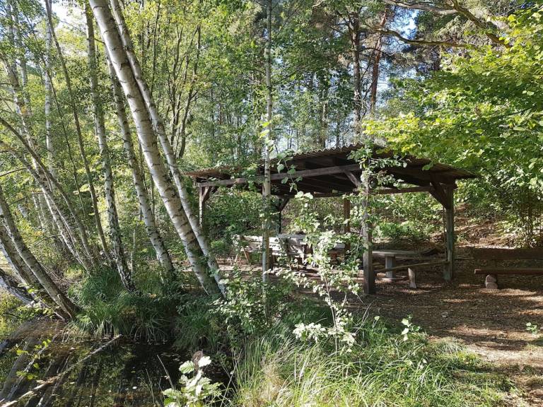 Landhaus  Schwielochsee