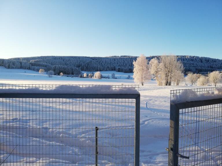foto14