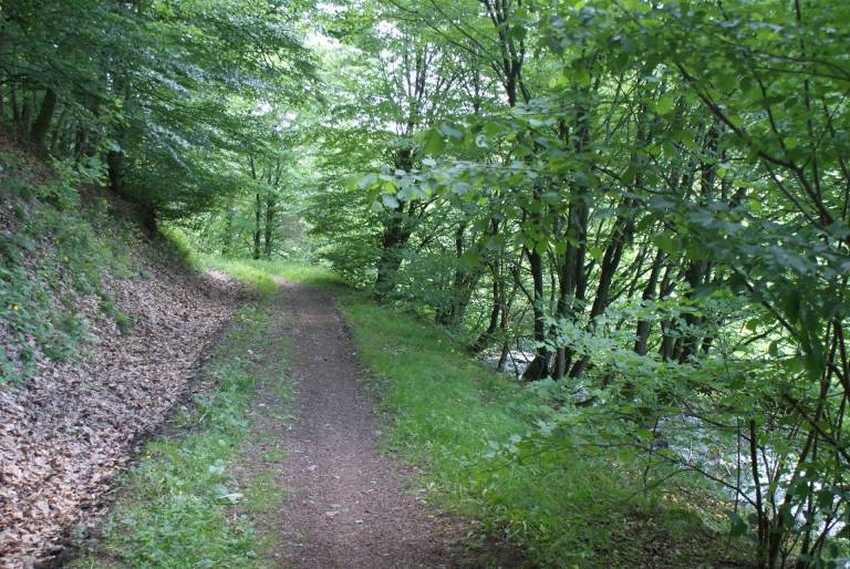 foto12