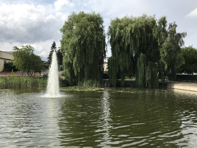foto28