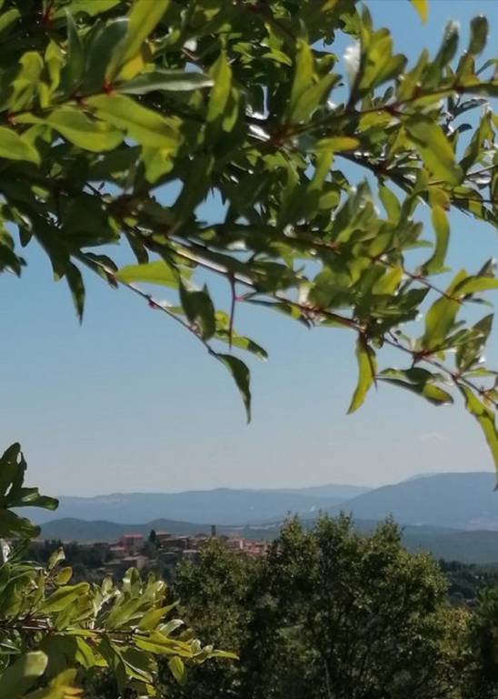 foto14
