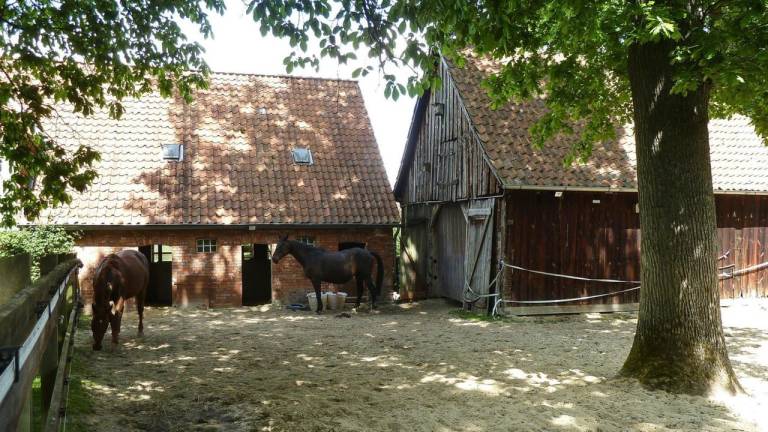 foto24