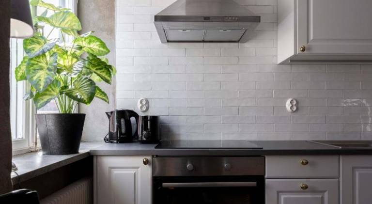Charming holiday apartment | Dogs allowed — photo 4