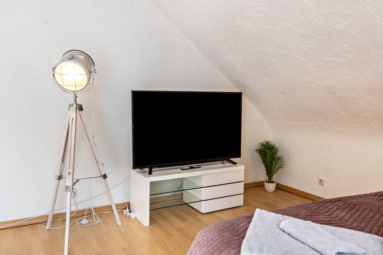Charming studio | Mountain view | Perfect for remote work | Dogs allowed — photo 4