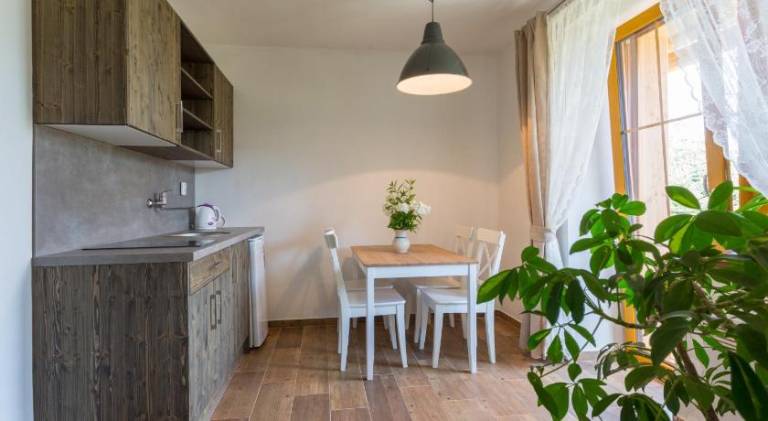 Pension Tereza & Sumavske Roubenky — photo 5