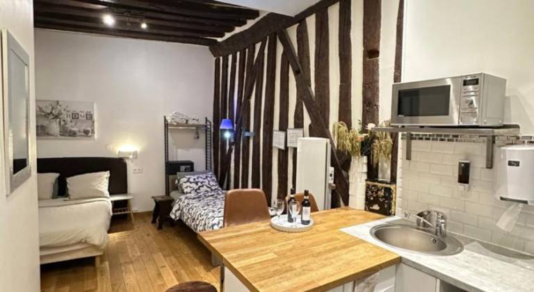 Pleasant apartment | Next to Notre-Dame de Paris | Pets allowed in Montrouge