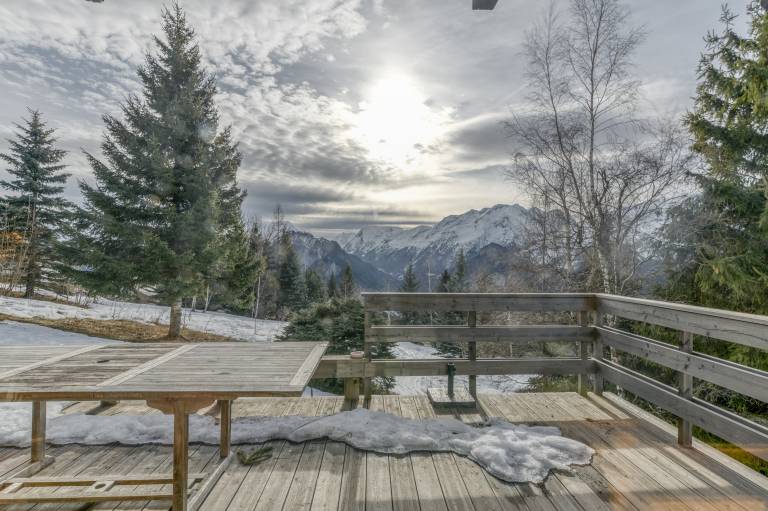 Apartment with terrace, yard & barbeque | Mountain view in Huez