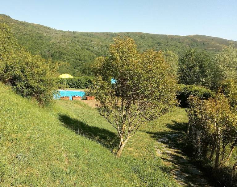 Vacation home with pool & garden | Nature view — photo 3