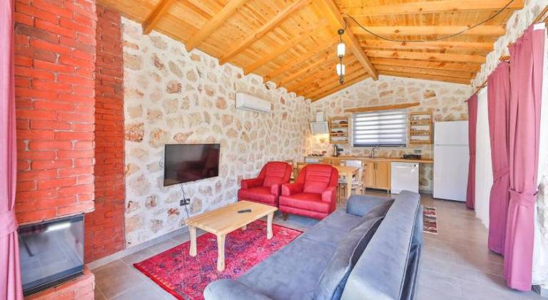 Beautiful vacation home with pool & jacuzzi | Pets allowed in Antalya