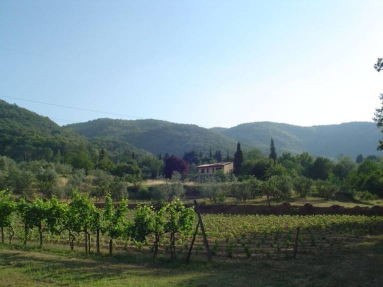 Podere la Casellina - un vero agriturismo familiare: Struttura intera — photo 3