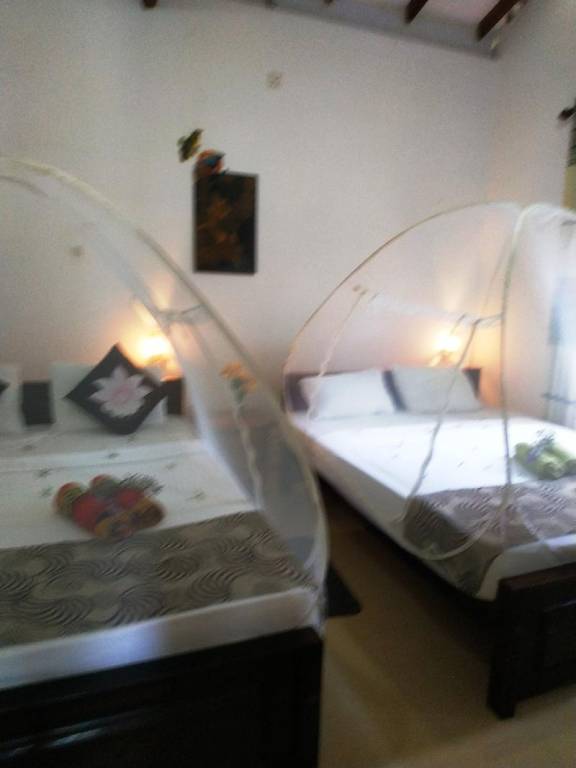 foto39