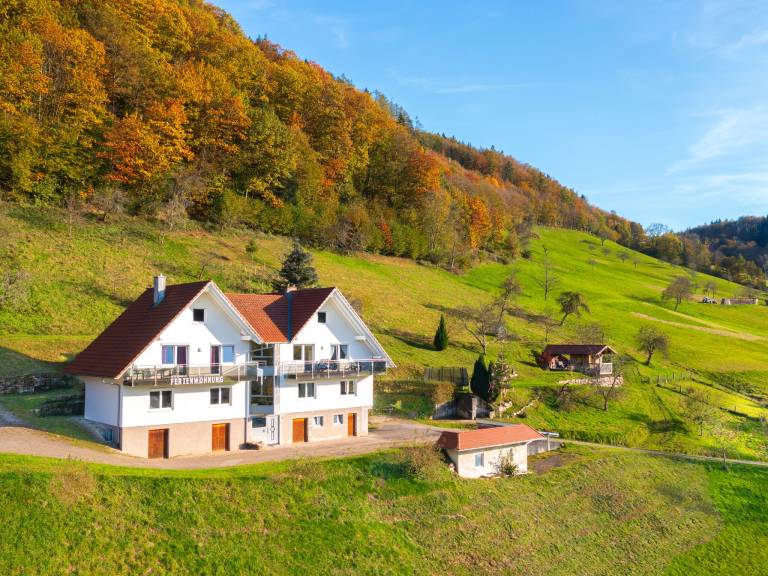 Ferienwohnung Oppenau
