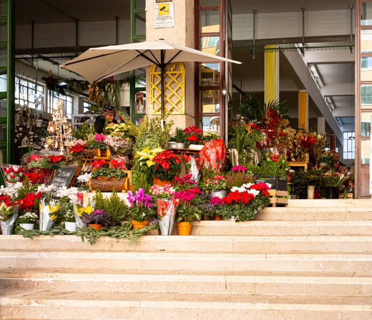 Appartamento Rione XV Esquilino