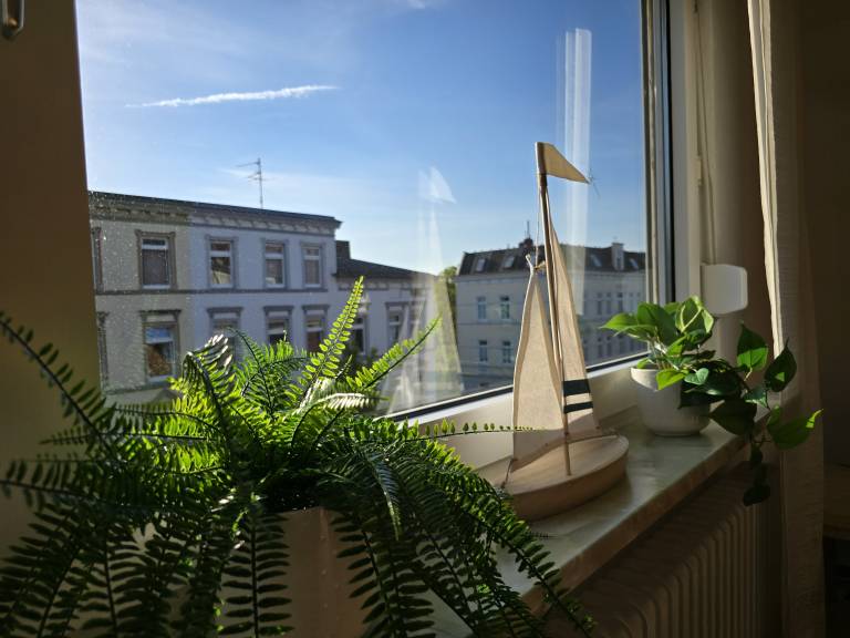 foto19