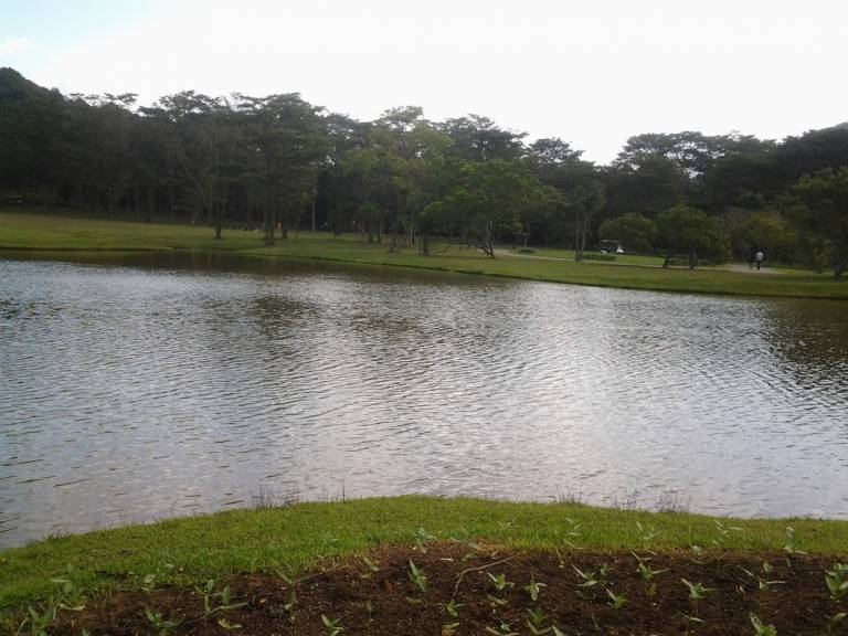 foto4