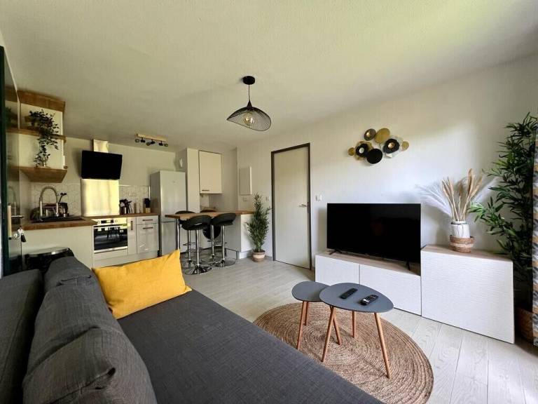 Appartement Blagnac