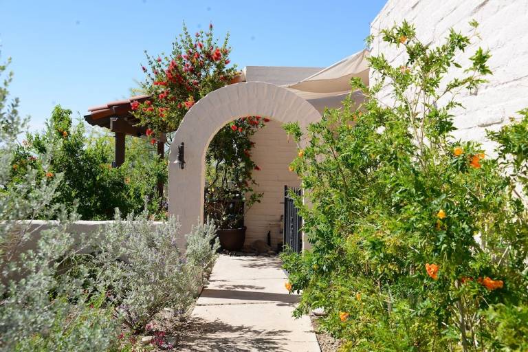 House Catalina Foothills