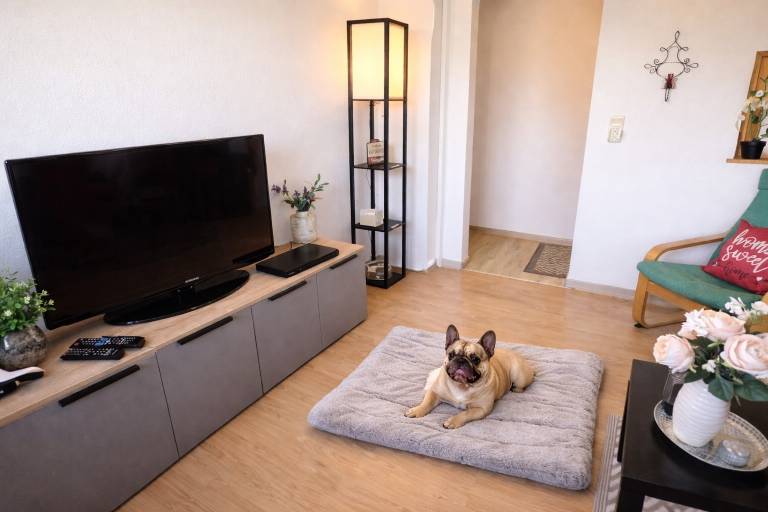 Waldblick Apartment with Large Balcony, Ground-Level Access & Unique Views — photo 2