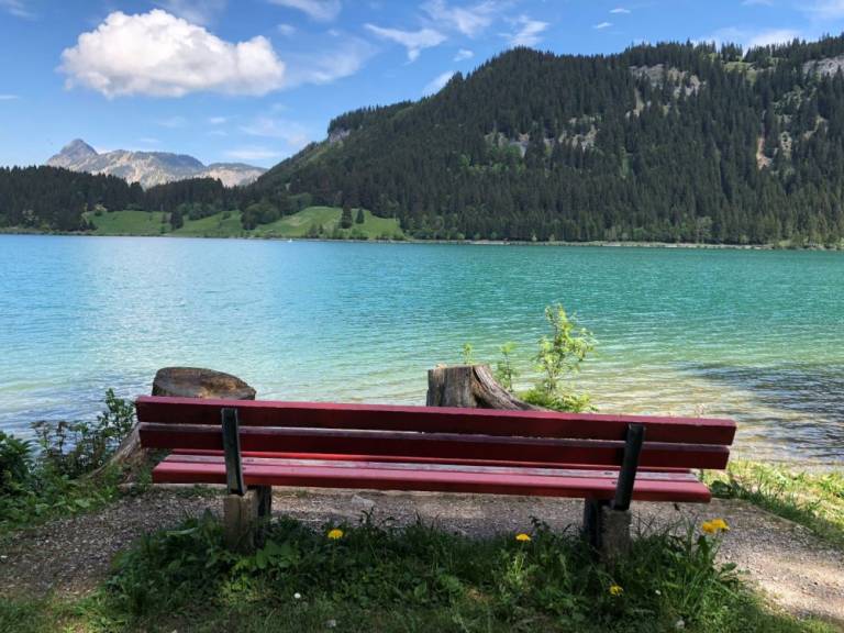 foto14