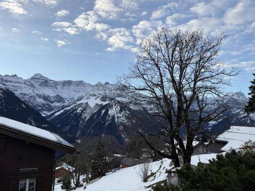 Ferienhaus  Braunwald