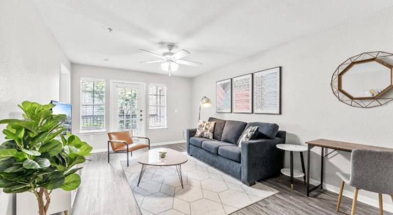 Lovely apartment | Pet-friendly in Austin, TX