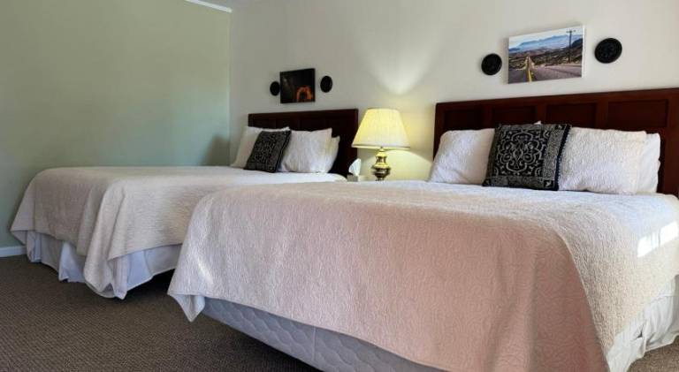Dedicated room with private pool | Pets are welcome — photo 4