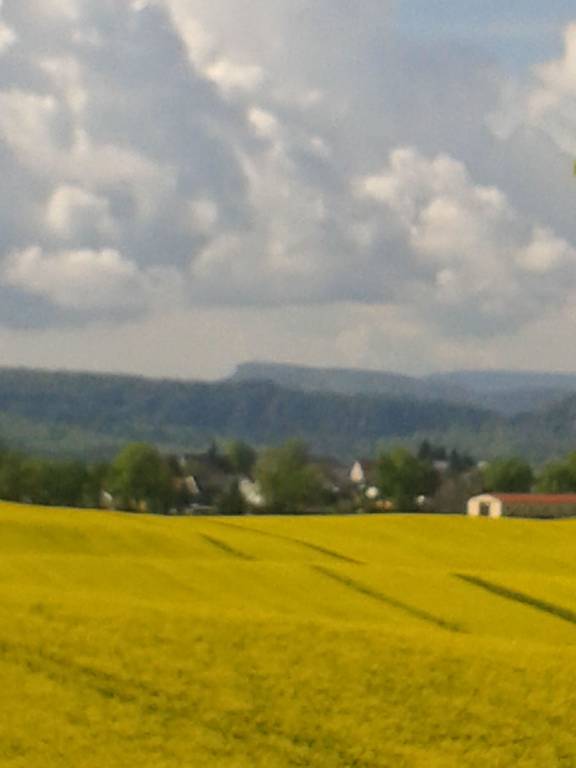 foto12