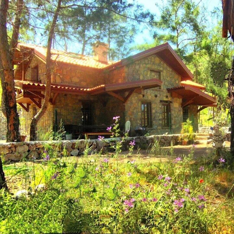 Cabin  Turunç Mahallesi