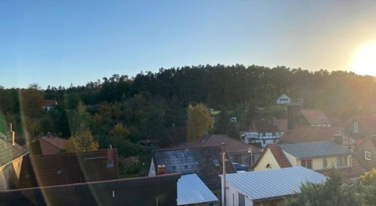 foto41