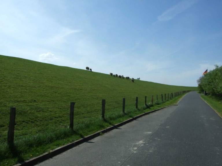 foto17