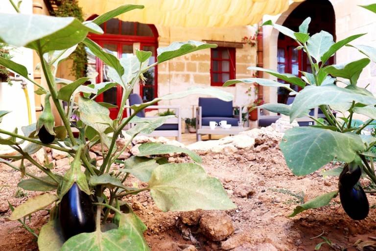 Bed & Breakfast Gozo