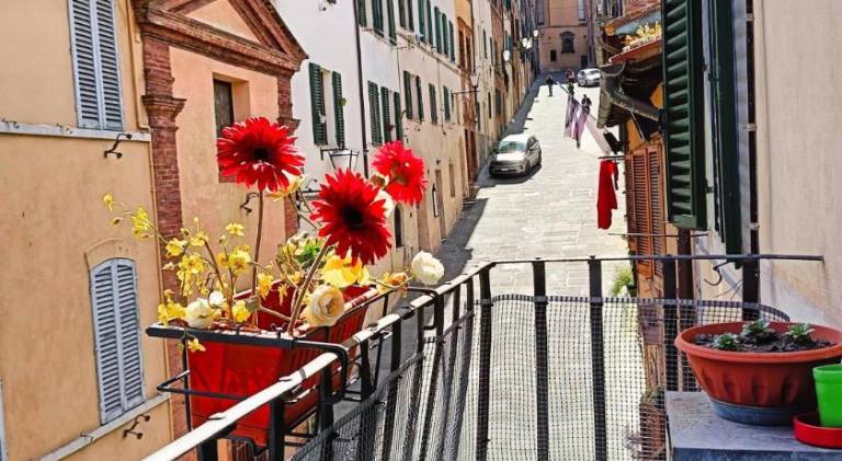 La Campanina-nel cuore di Siena e della contrada in Siena
