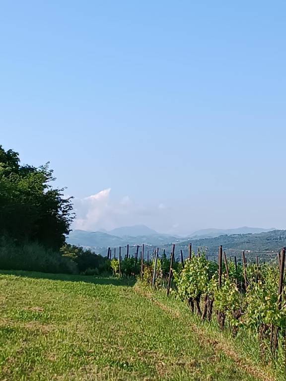 foto31