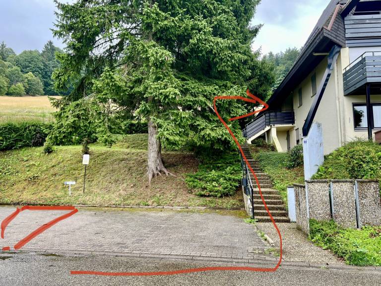 foto15
