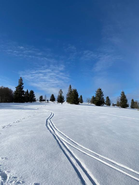 foto17