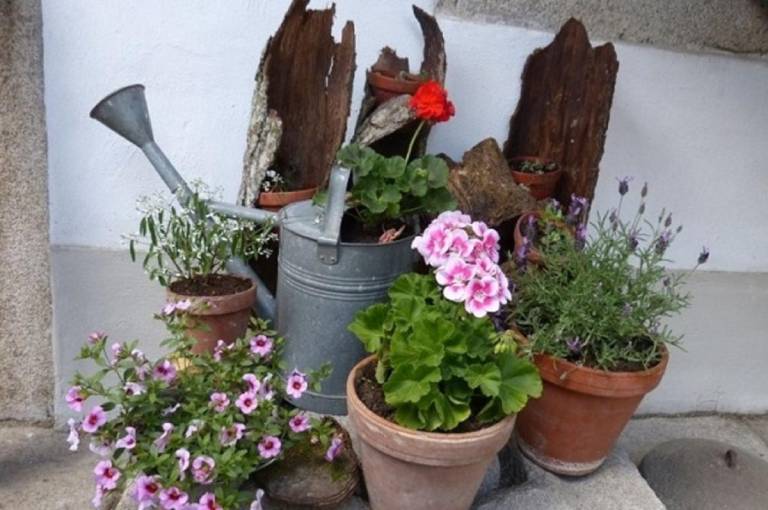 foto22