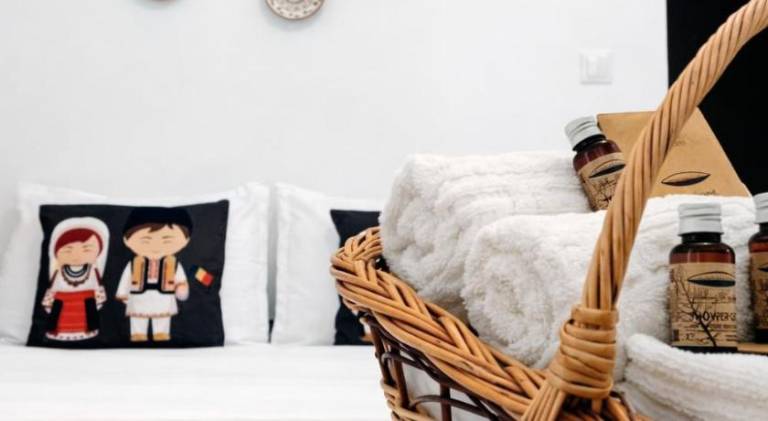 Rental apartment | Close to Curtea Veche | Dogs allowed in Bucharest