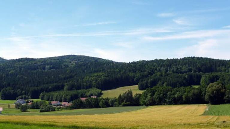 Ferienhaus Waldmünchen
