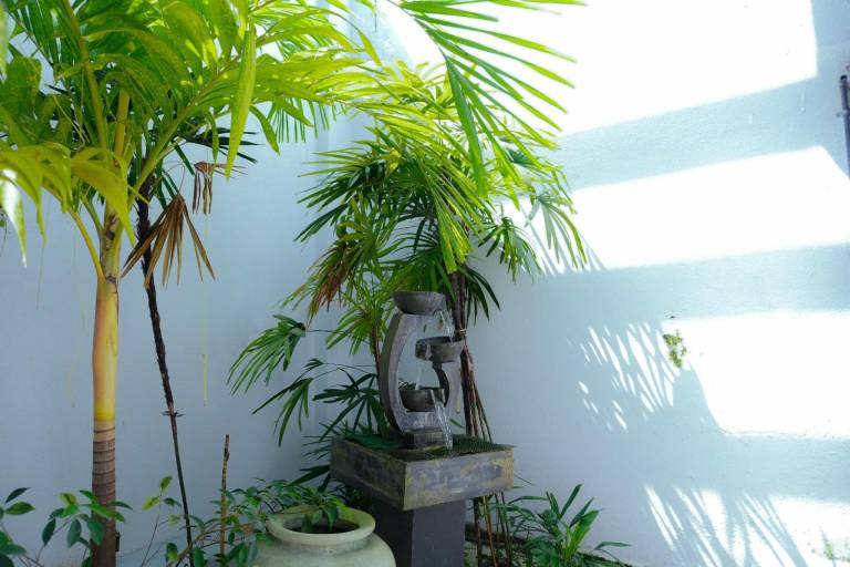 foto17