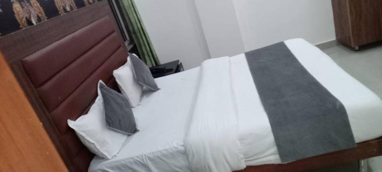 BLISS INN DELHI AIRPORT — photo 4