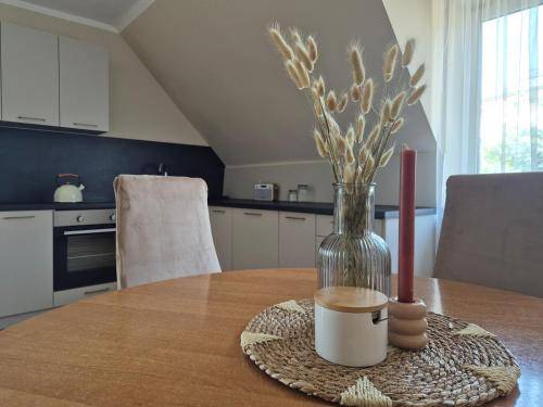 Apartament Busko-Zdrój
