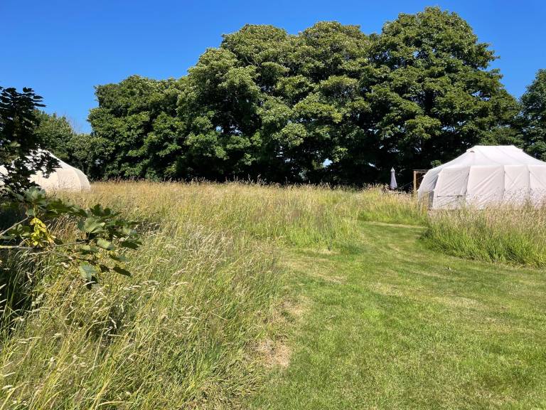 Cabin  Llantwit Major