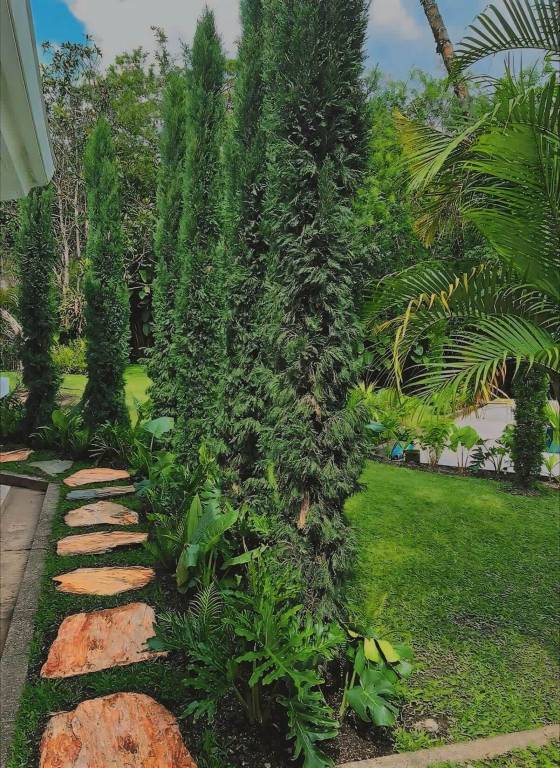 foto43