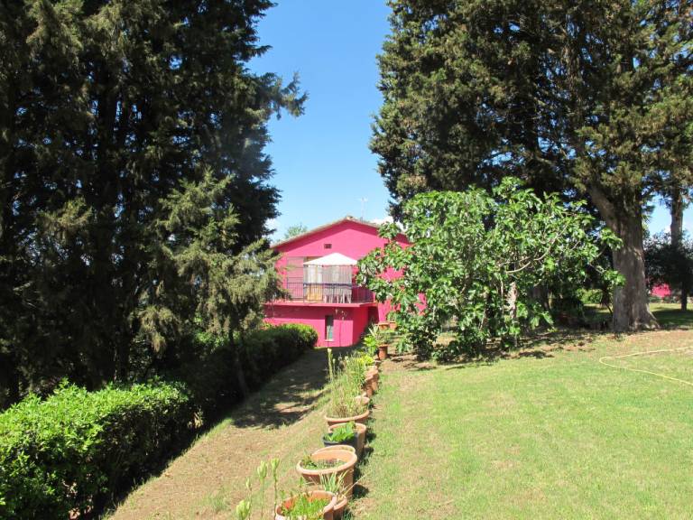 foto31