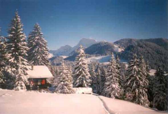 Bild zu 05af360a1f50fc580c722f41f872a5d2