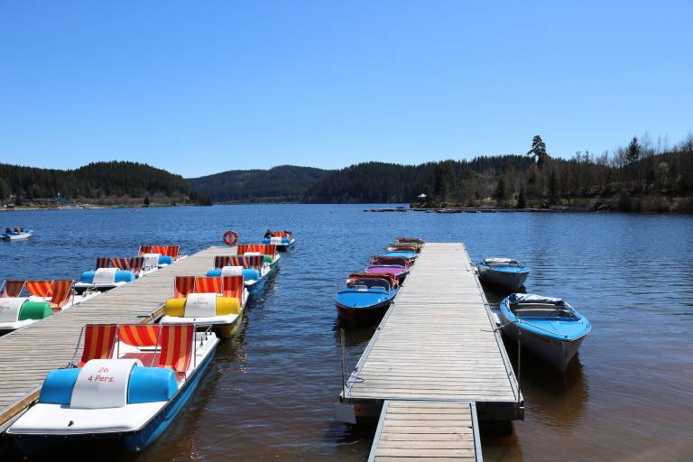 Ferienwohnung Schluchsee