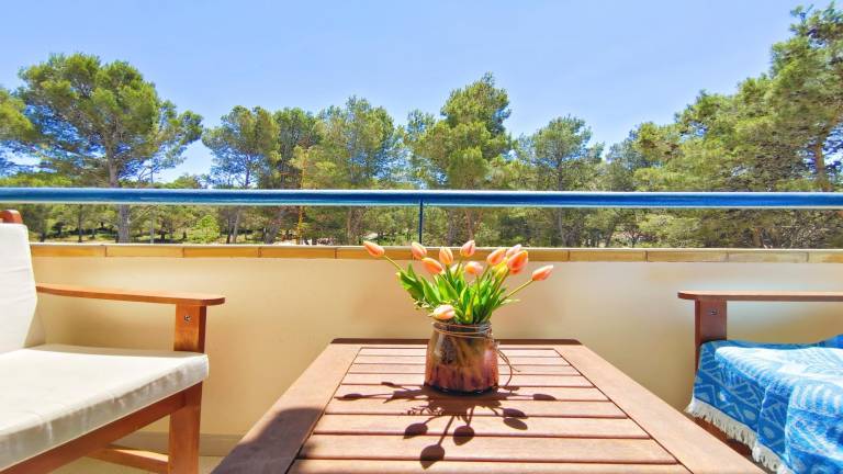 Nice rental apartment with pool, garden & terrace | Mountain view | Close to the beach | Pets are welcome — photo 2