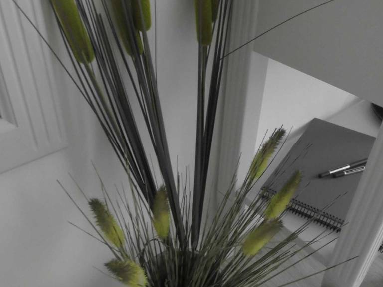 foto12